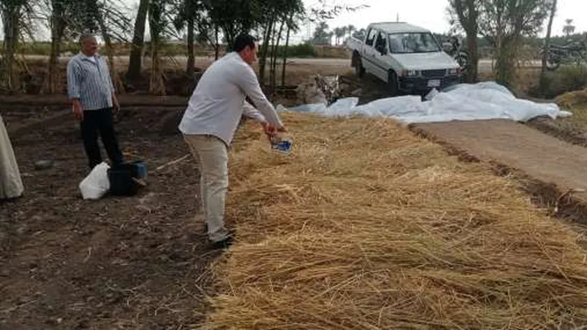 «الزراعة» تصدر تقرير متابعة منظومة جمع وتدوير قش الأرز في 6 محافظات