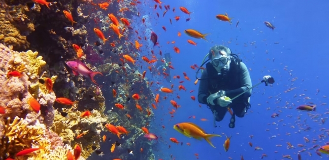 شاطئ رأس أم السيد في شرم الشيخ.. لوحة فنية تجذب السياح