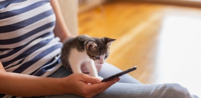 في اليوم العالمي للحيوانات.. 4 تطبيقات تمكنك من مساعداتها