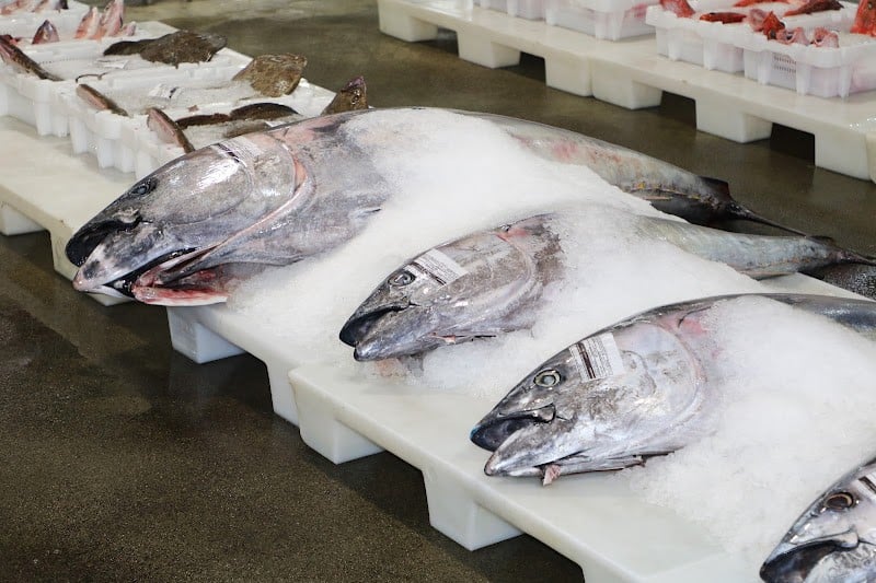 المغرب يزود الروس بالسمك المجمد