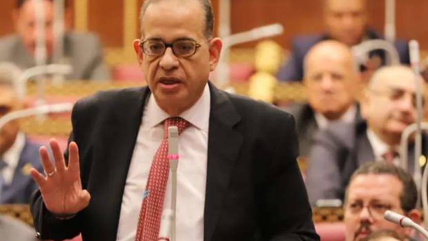 «برلمانية الوفد»: نثق في خطوات القيادة السياسية للحفاظ على مقدرات الوطن