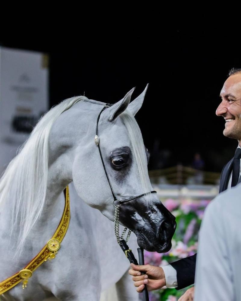 الرياض تحتضن الجولة النهائية من جولات الجياد العربية