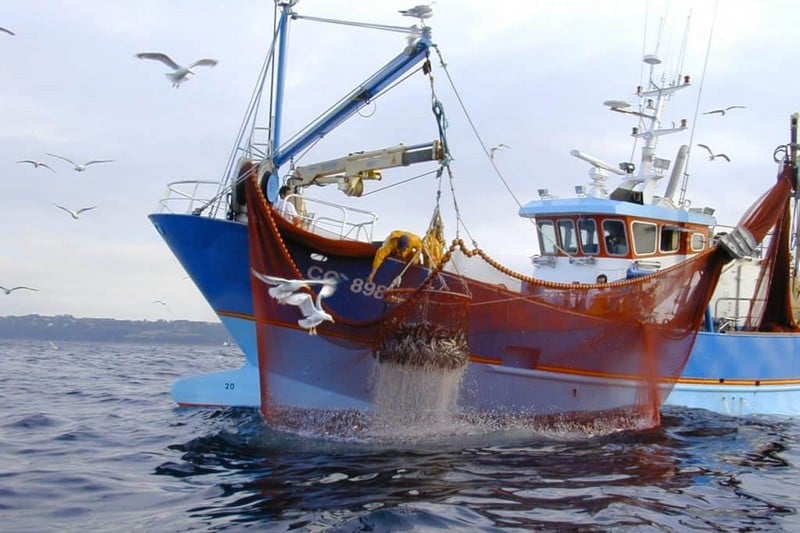 تحقيق يكشف استمرار أنشطة الصيد البحري غير القانوني في شمال المغرب