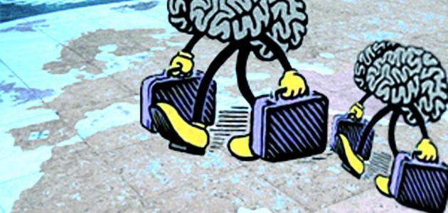 هجرة الأدمغة… مطالب برلمانية بتدخل حكومي لتحفيز الشباب والباحثين