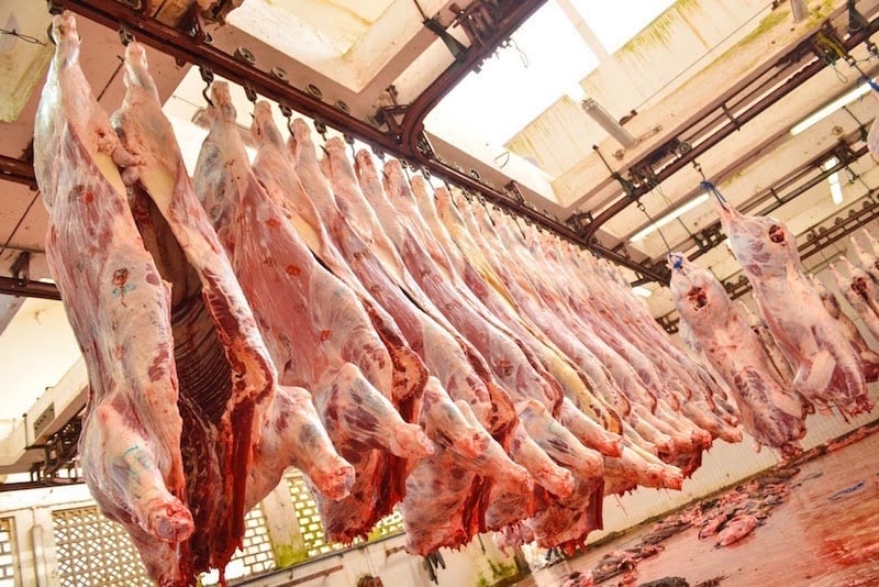 الاستيراد يضخ 1500 طن من لحوم الأبقار البرازيلية في أسواق المغرب