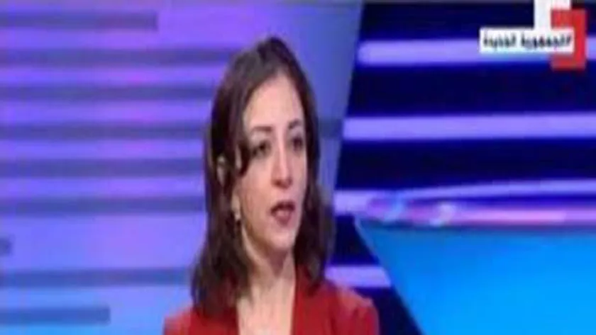 أستاذ علاقات دولية: الجهود المصرية لدعم القضية الفلسطينية أصبحت خارج سياق التقييم