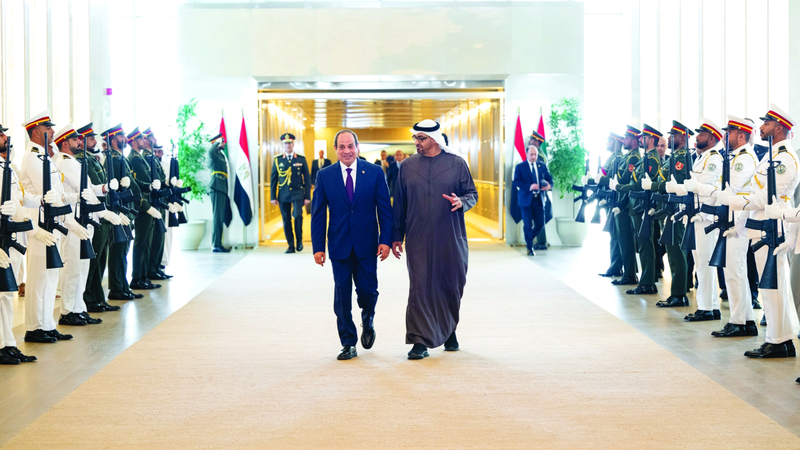 رئيس الدولة والرئيس المصري يبحثان تطورات الأوضاع في المنطقة