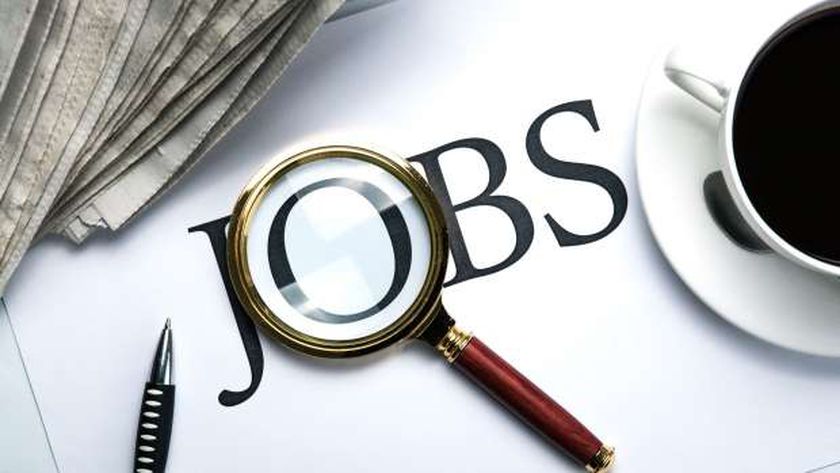 دليل التقديم لوظائف معلم لغة إنجليزية بالشرقية.. المؤهلات والشروط