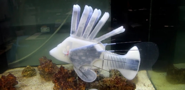 مستوحاة من الطبيعة.. ابتكار روبوتات على شكل قنديل بحر ودودة