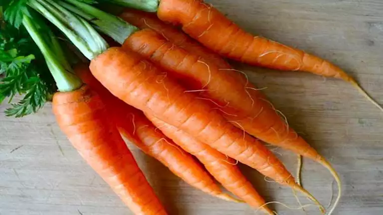 هل يحسن تناول الجزر النظر؟