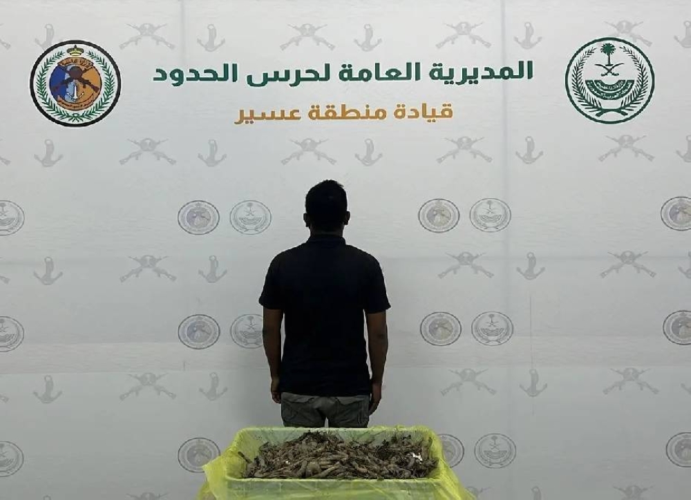 ضبط مقيم مخالف للائحة الأمن والسلامة لمزاولي الأنشطة البحرية في عسير