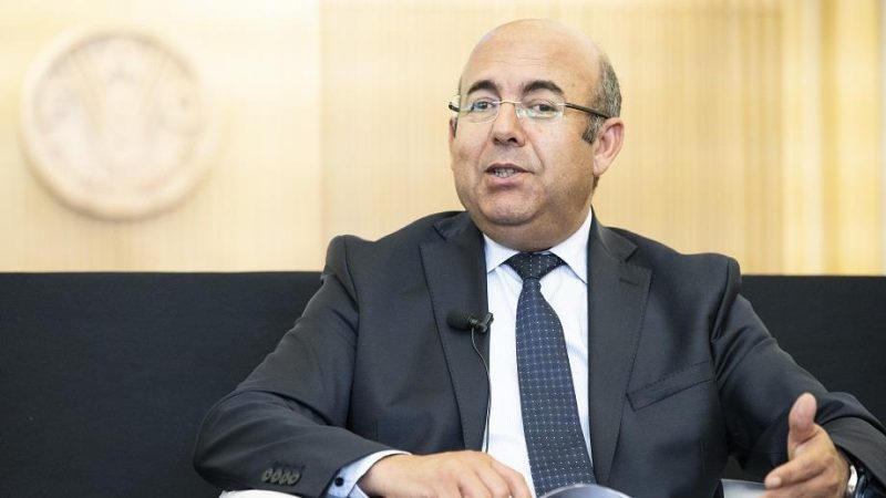 مدير « المياه والغابات » يدافع عن شفافية صفقة أفرنة مثيرة للجدل