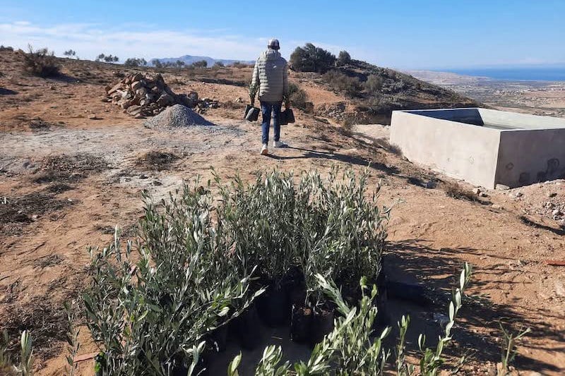 “أياد بيضاء” تدعم التشجير بالناظور