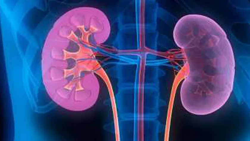 5 علامات شائعة تدل على تدهور وظائف الكلى.. لا تؤخر ذهابك للطبيب
