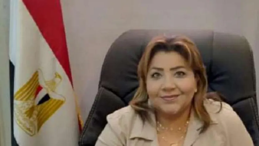 عضو بـ«حماة الوطن»: القمة العربية الطارئة خطوة لتوحيد الموقف العربي لدعم القضية