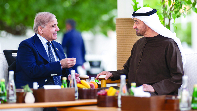 رئيس الدولة ورئيس وزراء باكستان يبحثان علاقات التعاون