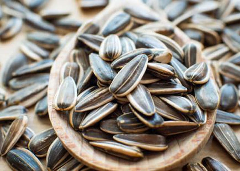 ماذا يحدث لجسمك عند الإفراط من تناول اللب السوري؟