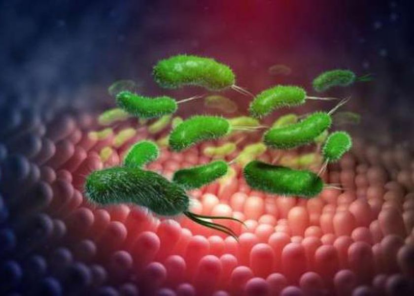 علاج جرثومة المعدة.. خطة هيئة الدواء المصرية للتخلص من الآلام المزعجة