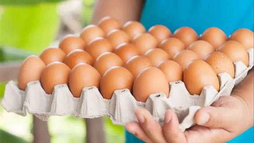 سعر كرتونة البيض اليوم الاثنين 10-2-2025 للمستهلك في السوق