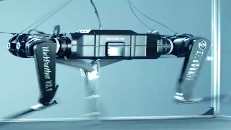 “النمر الأسود”.. قصة أسرع روبوت رباعي الأرجل في العالم