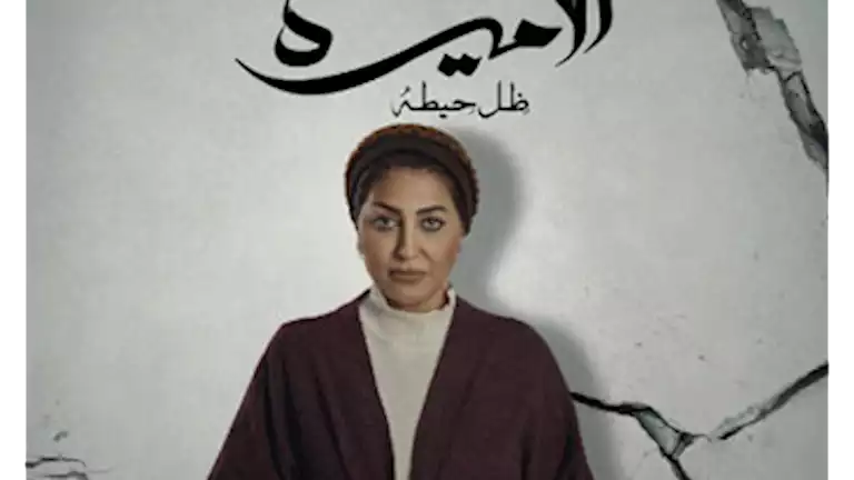 وفاء عامر تشارك بوستر مسلسلها الجديد “الأميرة”