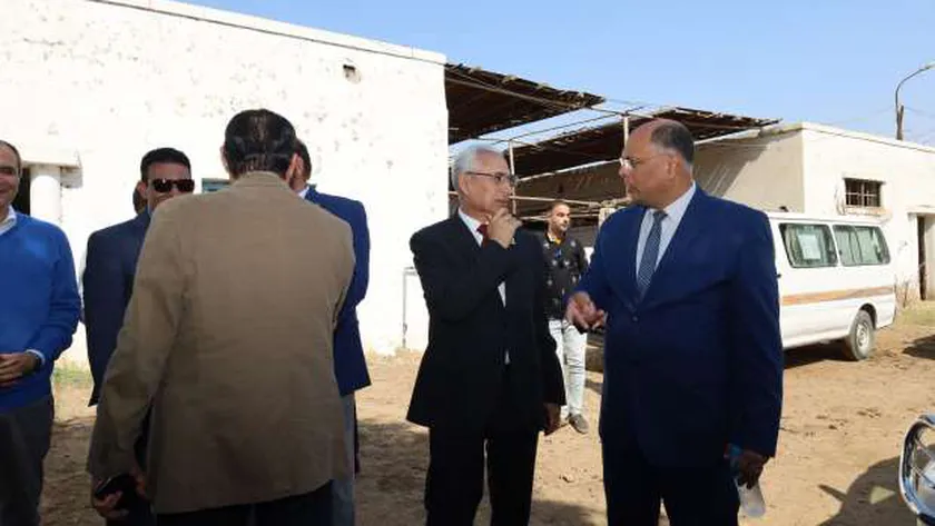 مزرعة الإنتاج الحيواني بجامعة المنيا تعلن توافر «السمان» بأسعار مخفضة