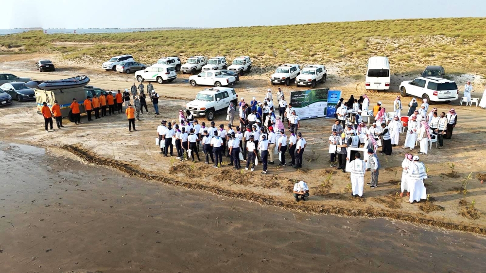 300 متطوع ومتطوعة يسهمون في زراعة 2000 شتلة مانجروف