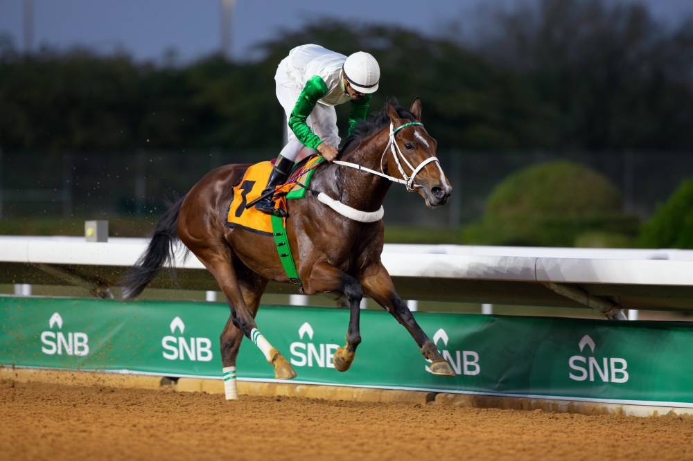 يبحث عن الانتصار الـ«80».. هل يفعلها «وايت تو أكسل»؟