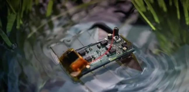 روبوت بحجم بطاقة الائتمان يكتشف الحياة البحرية تحت الماء.. سرعة ودقة مذهلة