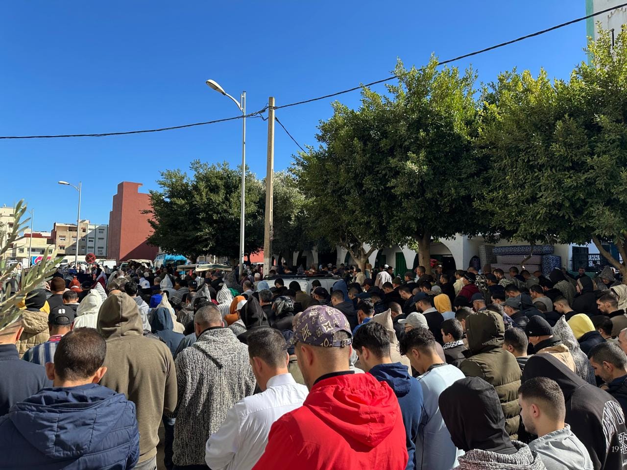 قد تكون صورة شخص واحد وحشد