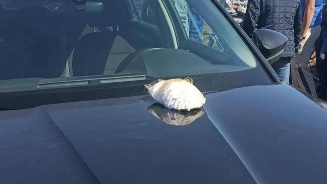 ضبط شخصين بإنزكان كانا بصدد تعليق سلحفاة بها أعمال شعوذة بسوق إنزكان