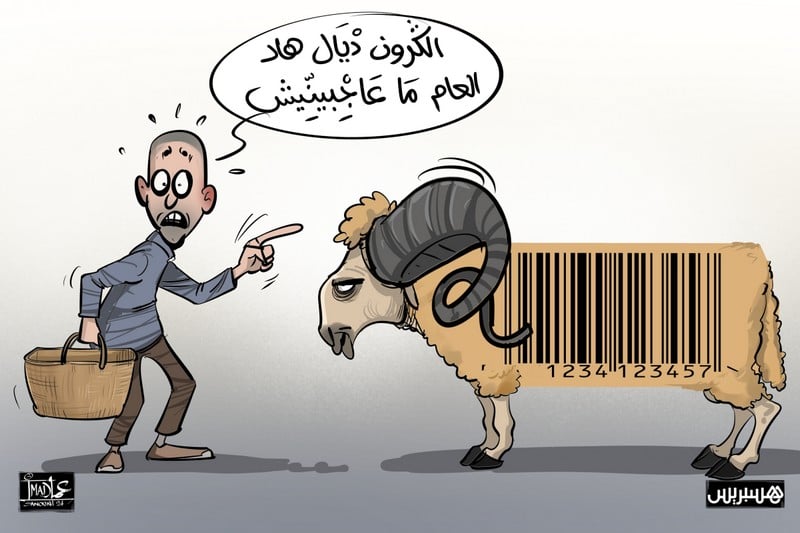 الملك يزيح العبء عن الأسر المغربية .. وأسعار الأكباش تنكمش بألف درهم