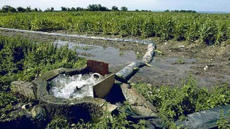 السلطات تطلق حملة واسعة لضبط فلاحين يستخدمون مياه الصرف الصحي في سقي الأراضي الزراعية