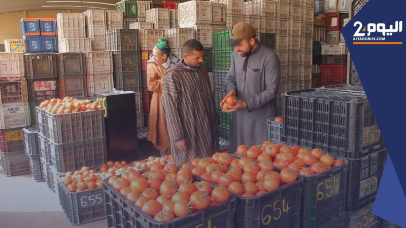 نقابة تطالب بفتح تحقيق قضائي على خلفية « تلاعبات » خطيرة في تحديد الأسعار بسوق الجملة بالبيضاء