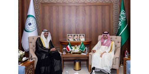 وزير الخارجية يلتقي نظيره السعودي على هامش اجتماع التعاون الإسلامي في جدة