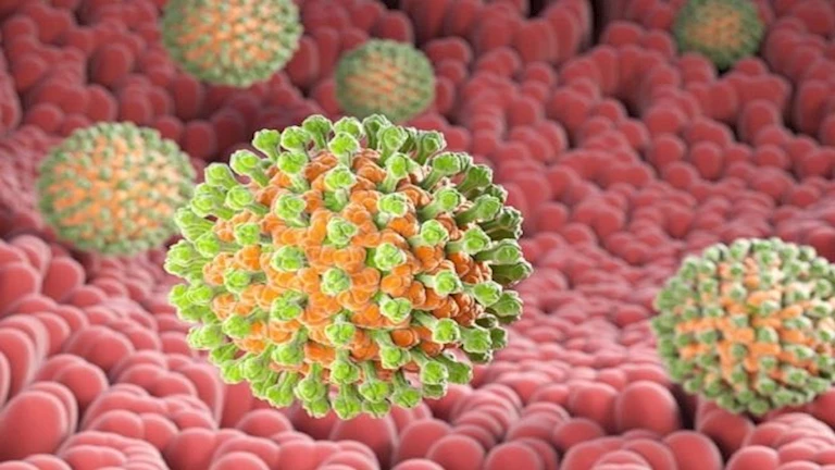 أعراضه سريعة وخطيرة.. ما هو فيروس الروتا؟