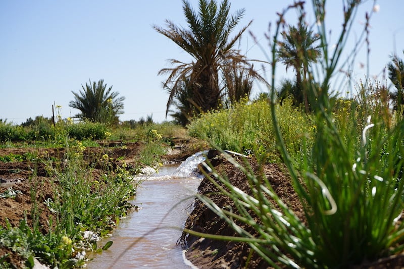 هل يراجع المغرب تدابير التقشف المائي بعد تساقطات مطرية هامة؟