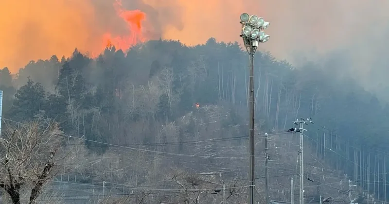 اليابان تستنفر إدارات الإطفاء في جميع أنحاء البلاد للسيطرة على أسوأ حرائق الغابات