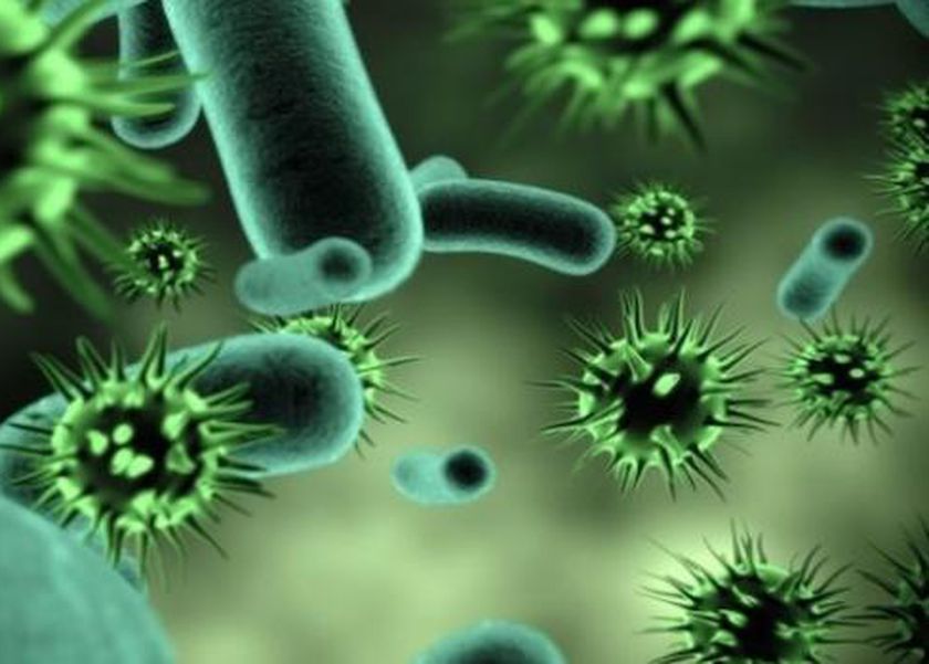 فيروس قاتل يضرب أمريكا.. 3 بؤر ساخنة تهدد بجائحة جديدة في الولايات المتحدة