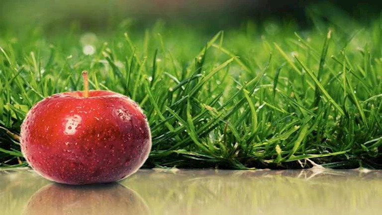 4 فوائد مذهلة لتناول ثمرة من التفاح يوميًا