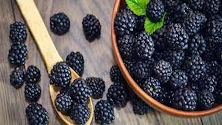 بعد انتشاره في الاسواق.. إليك ما يفعله التوت الاسود في الصحة