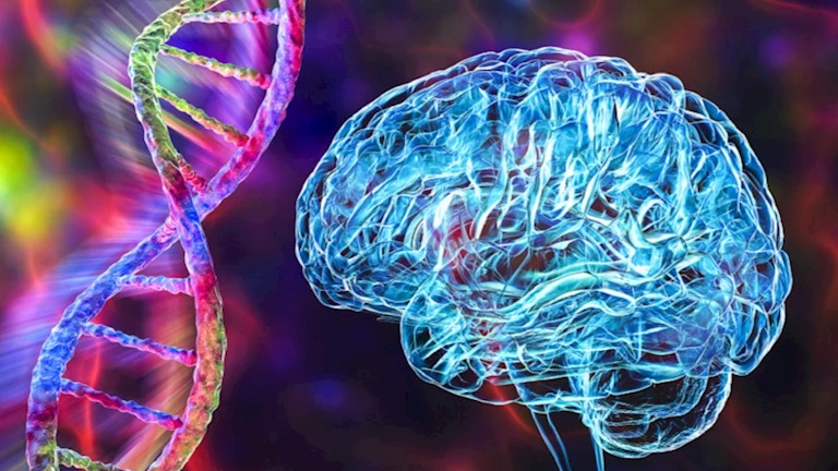 مرض دماغي نادر يضرب ولاية أمريكية.. ما أعراضه؟