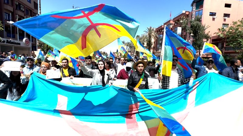 مسيرة بمراكش احتجاجا على تعامل الحكومة مع قضايا الأمازيغية وضحايا الحوز (فيديو)