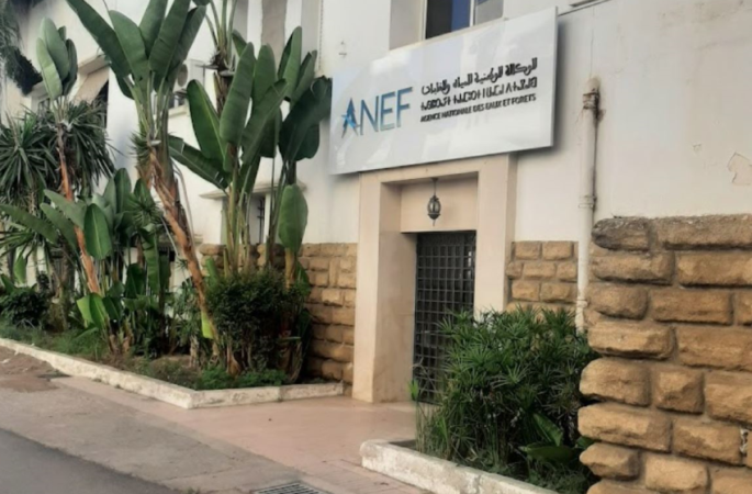 خريجو المدرسة الغابوية يرفضون تعديلات الحكومة على قانون الوكالة الوطنية للمياه والغابات