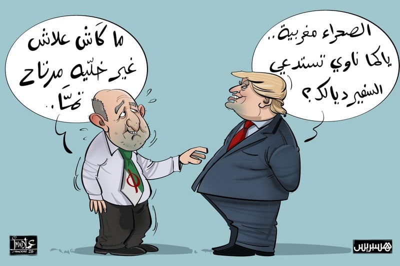 الموقف الأمريكي من الصحراء المغربية يعرّي تناقضات الخطاب الجزائري