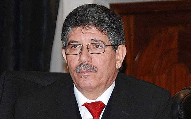 التويزي: الحكومة نفذت وتنفذ أغلب وعودها والمعارضة لا تنظر إلا إلى النصف الفارغ من الكأس