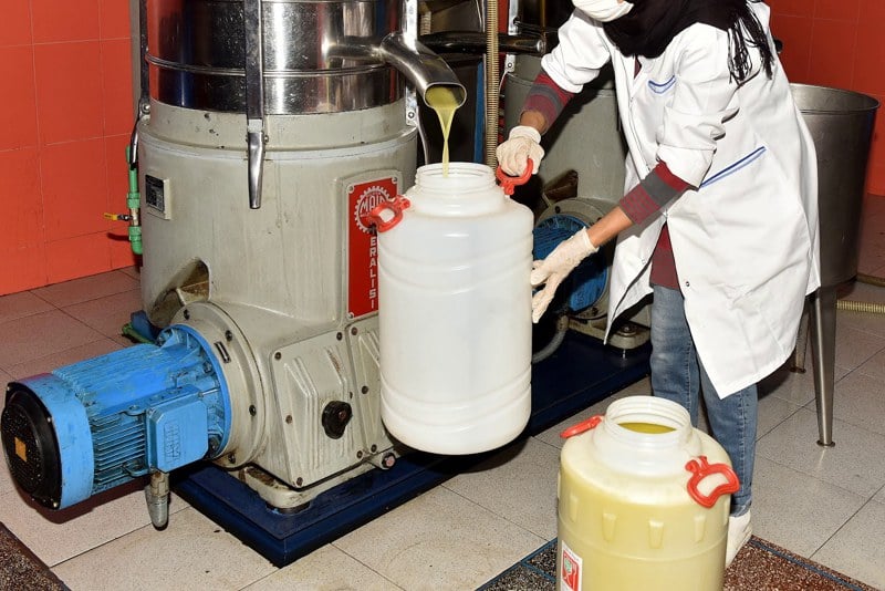 المغرب يستورد زيت الزيتون الإسباني