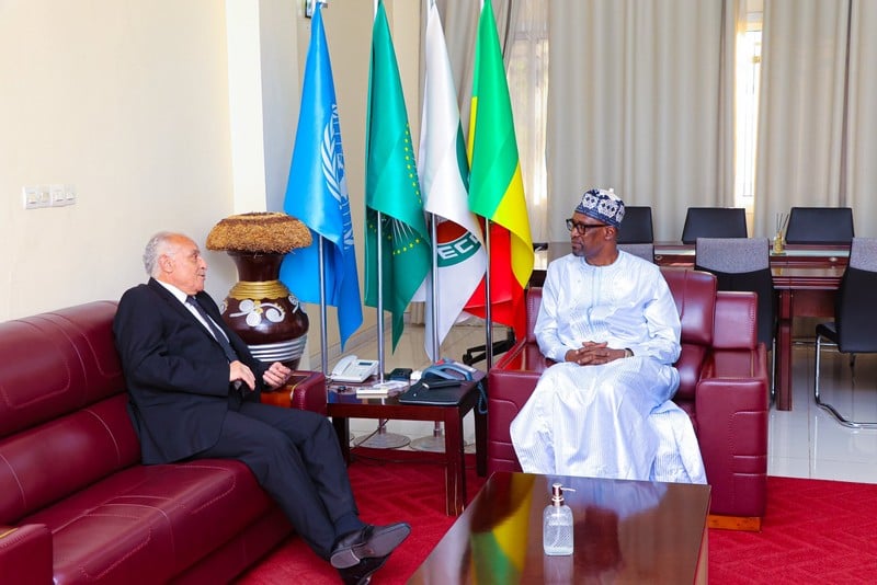 الجزائر تستدعي سفيريها بمالي والنيجر