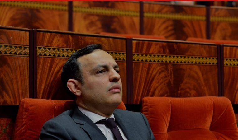 برلمانية تحث وزير التشغيل على ملاحقة مسربي بيانات وزارته في القضاء الدولي