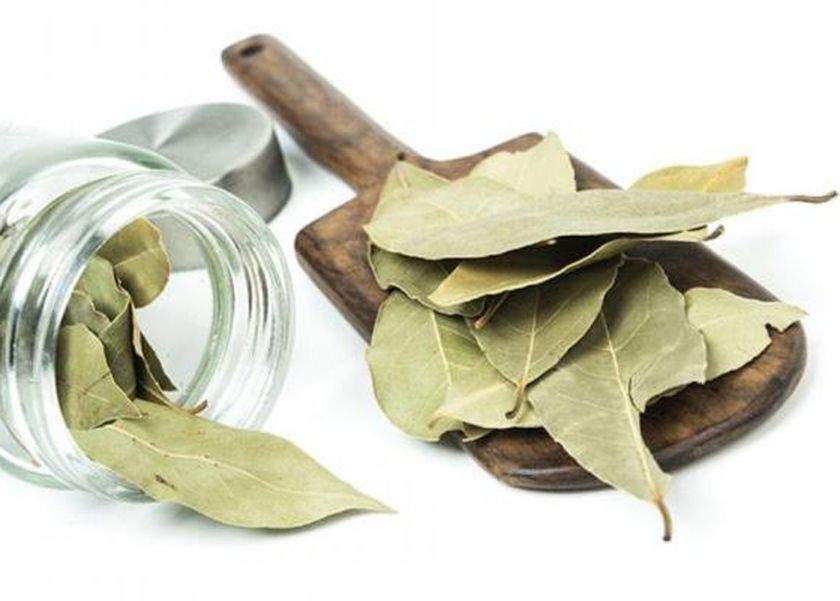 فوائد مذهلة عند شرب ورق السدر قبل النوم.. يعزز المناعة ويحمي القلب